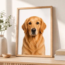 Ladda upp bild till gallerivisning, Golden Retriever Tavla – Inramat Hundporträtt
