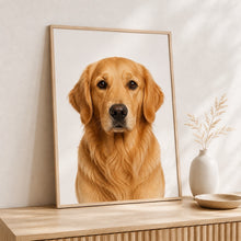 Ladda upp bild till gallerivisning, Golden Retriever Tavla – Inramat Hundporträtt