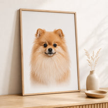 Load image into Gallery viewer, Pomeranian Tavla – Inramat Hundporträtt