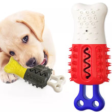 Ladda upp bild till gallerivisning, Bitleksak Isfylld