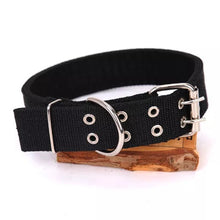 Ladda upp bild till gallerivisning, Hundhalsband Streetz