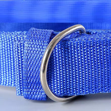 Ladda upp bild till gallerivisning, Hundhalsband Streetz