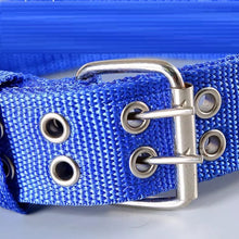 Ladda upp bild till gallerivisning, Hundhalsband Streetz