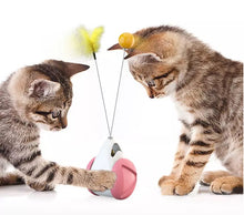 Load image into Gallery viewer, Cat toy Balance wheel