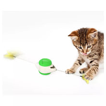 Load image into Gallery viewer, Cat toy Balance wheel