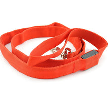 Ladda upp bild till gallerivisning, Koppel & Halsband med LED-Ljus