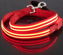 Ladda upp bild till gallerivisning, Koppel & Halsband med LED-Ljus