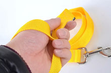 Ladda upp bild till gallerivisning, Koppel & Halsband med LED-Ljus