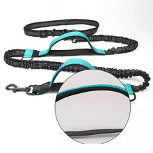 Load image into Gallery viewer, Leash Waist leash / Jogging leash