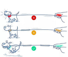 Load image into Gallery viewer, Leash Waist leash / Jogging leash