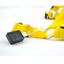 Ladda upp bild till gallerivisning, Sele med LED-Ljus