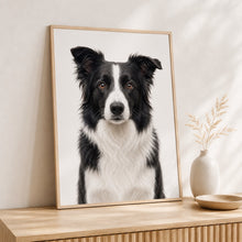 Load image into Gallery viewer, Border Collie Tavla – Inramat Hundporträtt
