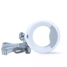 Load image into Gallery viewer, Leash with LED light and Flashlight

