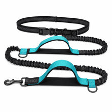 Load image into Gallery viewer, Leash Waist leash / Jogging leash
