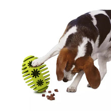 Last opp bilde til gallerivisning, Dog Toy Interactive - Oval ball
