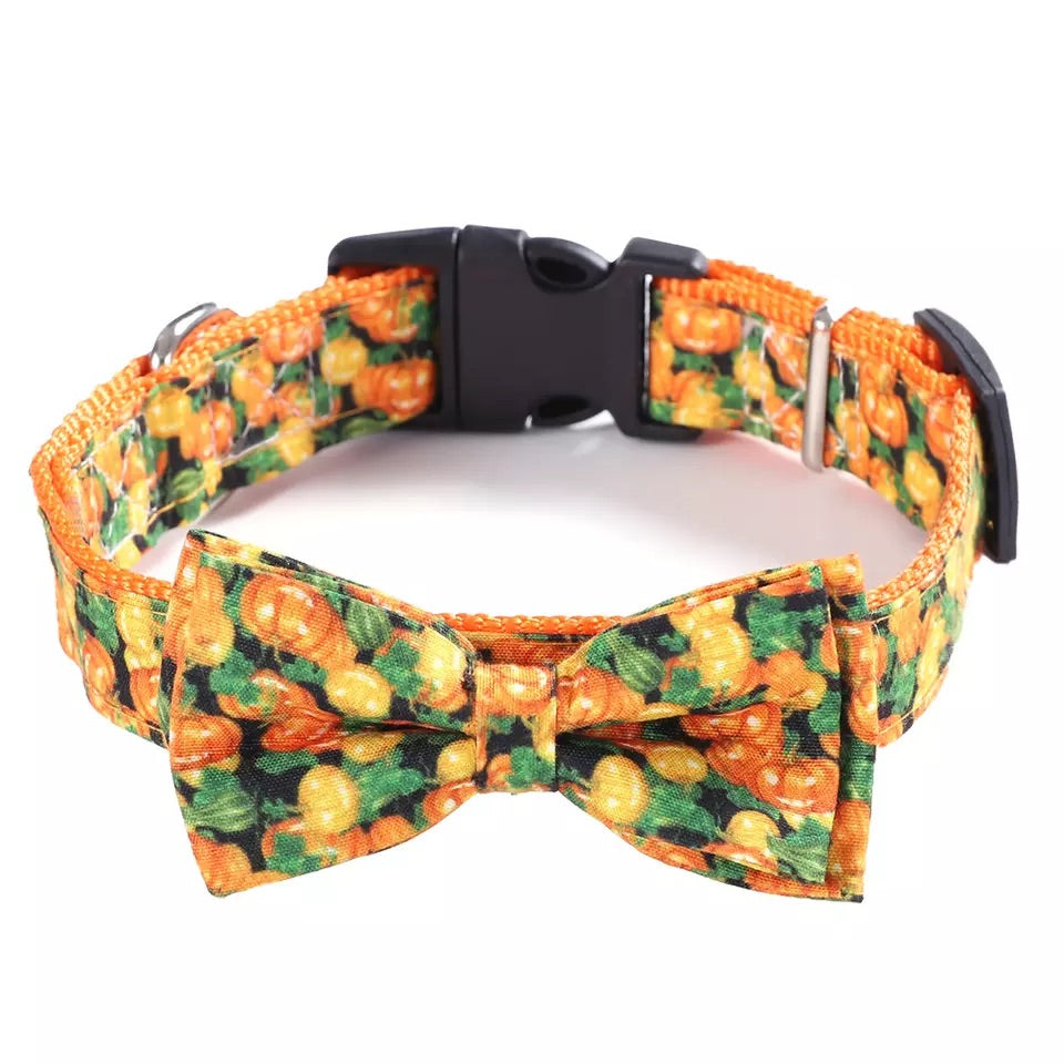 Dog and cat collar with bow tie