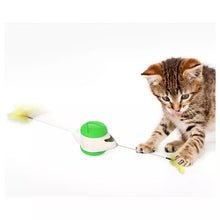 Load image into Gallery viewer, Cat toy Balance wheel
