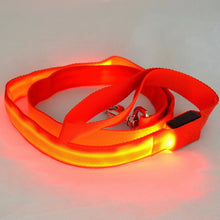 Last opp bilde til gallerivisning, Leash &amp; Collar med LED-lys
