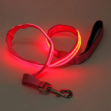 Load image into Gallery viewer, Leash &amp; Collar with LED Light
